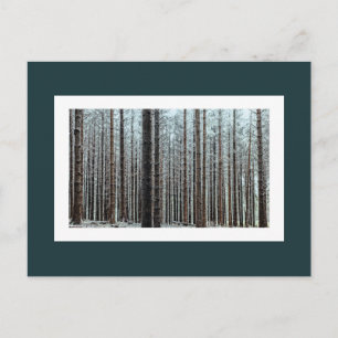 Forest Postcard
