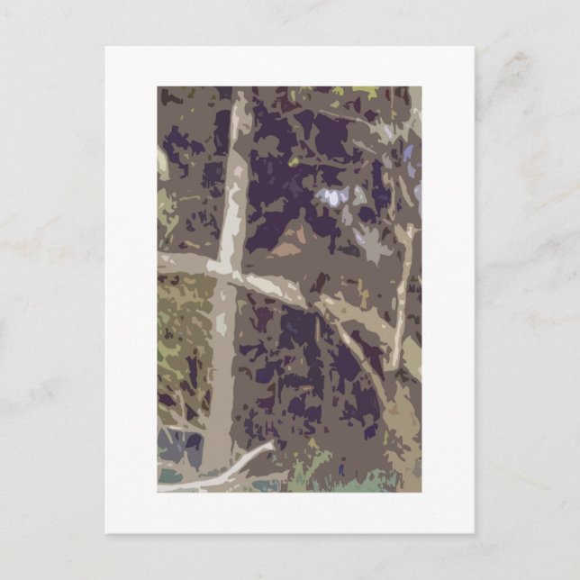 Forest Postcard (Front)