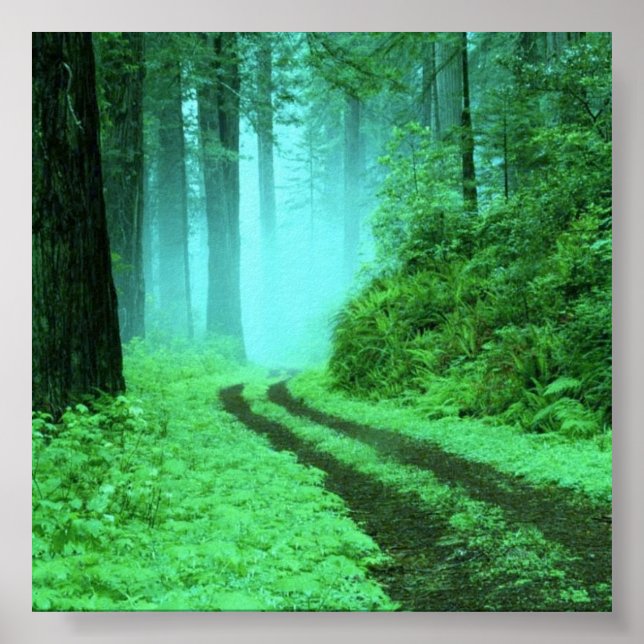 forest poster (Front)