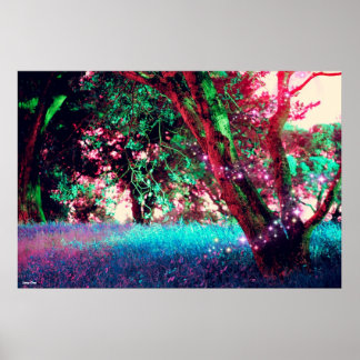 Forest Poster - Large (33" x 22")