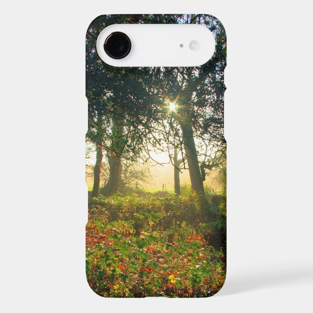 Forest Rainbow Case-Mate iPhone Case (Back)