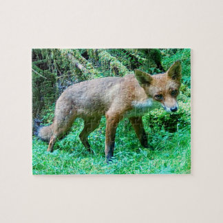 Forest Red Fox Cub Calm Natural Moss Environment Jigsaw Puzzle