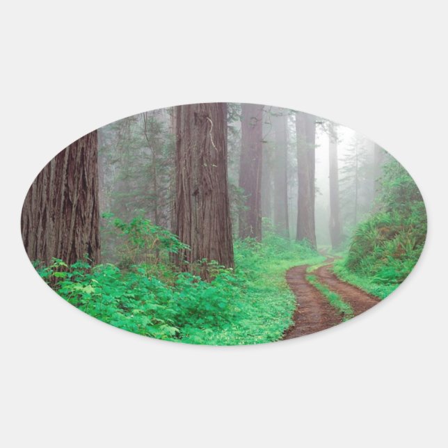 Forest Redwood Oval Sticker (Front)