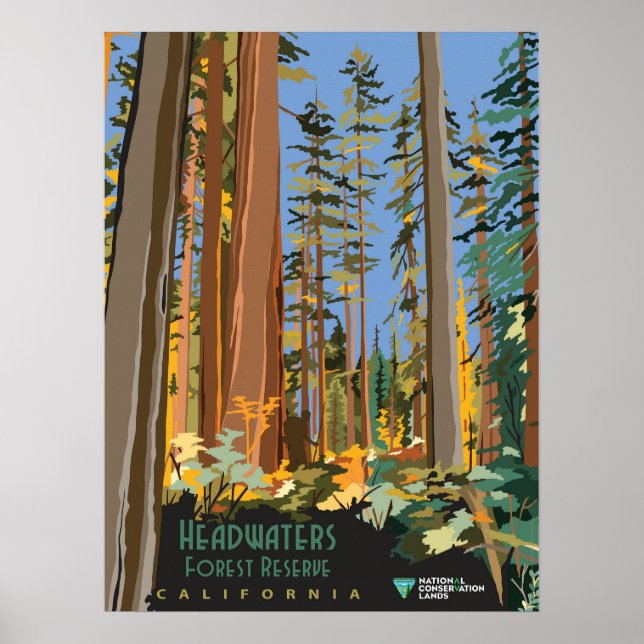 Forest Reserve Poster (Front)