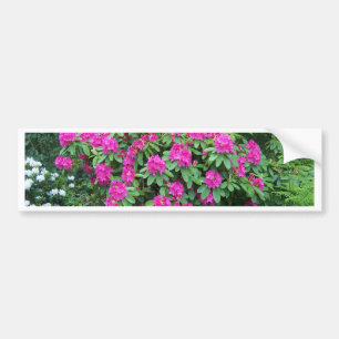 Forest Rhododendron Bumper Sticker