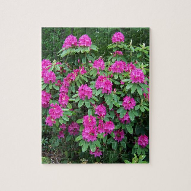 Forest Rhododendron Jigsaw Puzzle (Vertical)