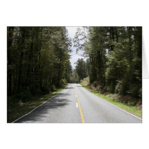 forest road