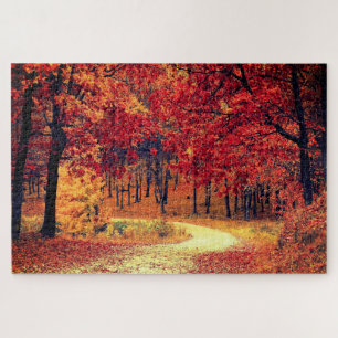 Forest Road - Autumn - Beautiful Season - Fall Jigsaw Puzzle