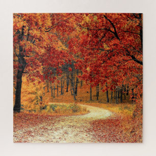 Forest Road Autumn Puzzle