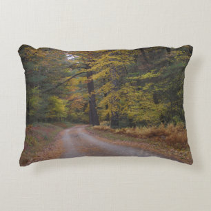 "Forest Road in Autumn" Decorative Cushion