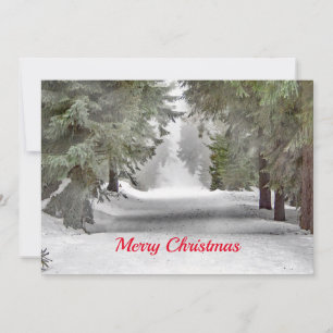 Forest Road Snow Pine Trees Photo Christmas Flat Holiday Card