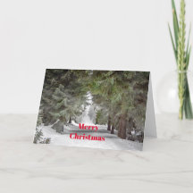Forest Road Snow Pine Trees Photo Christmas