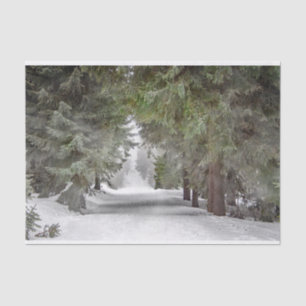 Forest Road Snow Pine Trees Photo Tissue Paper