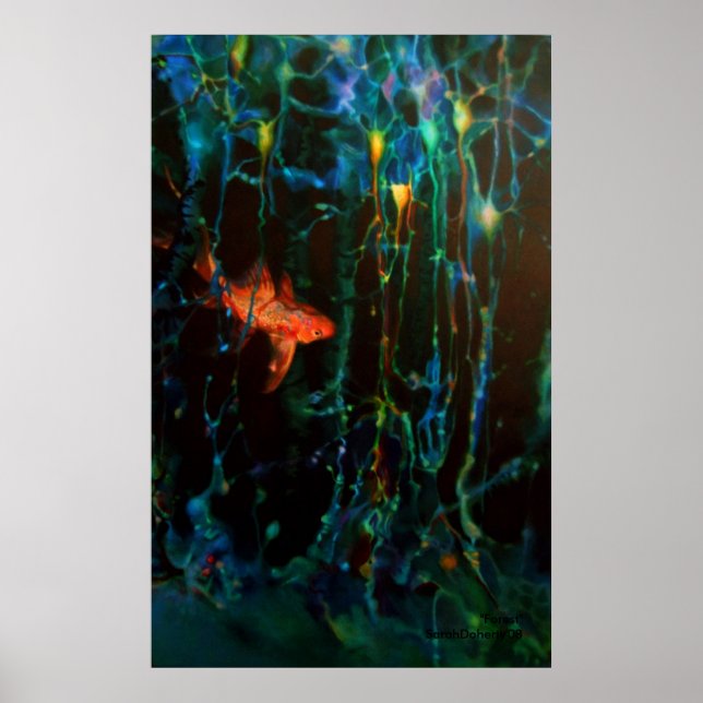 "Forest" Sarah Doherty 2008 Poster (Front)