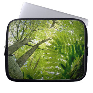 Forest scene in Acadia National Park, Maine. Laptop Sleeve