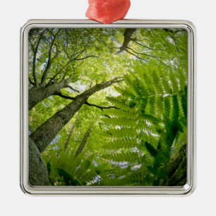 Forest scene in Acadia National Park, Maine. Metal Tree Decoration