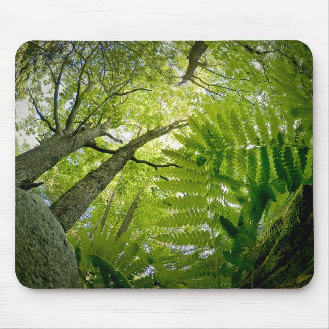 Forest scene in Acadia National Park, Maine. Mouse Mat (Front)