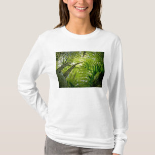 Forest scene in Acadia National Park, Maine. T-Shirt