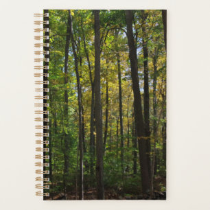 Forest Scene Planner