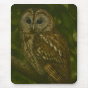 Forest Sentinel – Tawny Owl Wildlife Art Mouse Mat