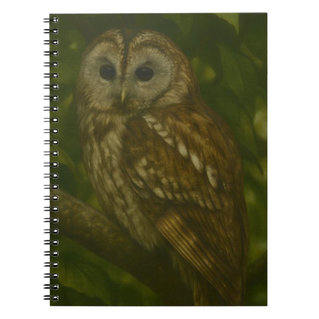 Forest Sentinel – Tawny Owl Wildlife Art Notebook (Front)