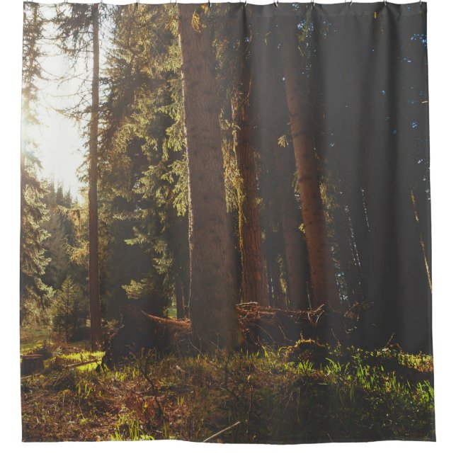 Forest Shower Curtain (Front)