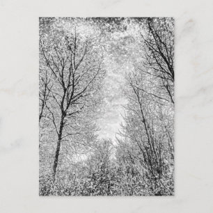Forest Snow Art Postcard