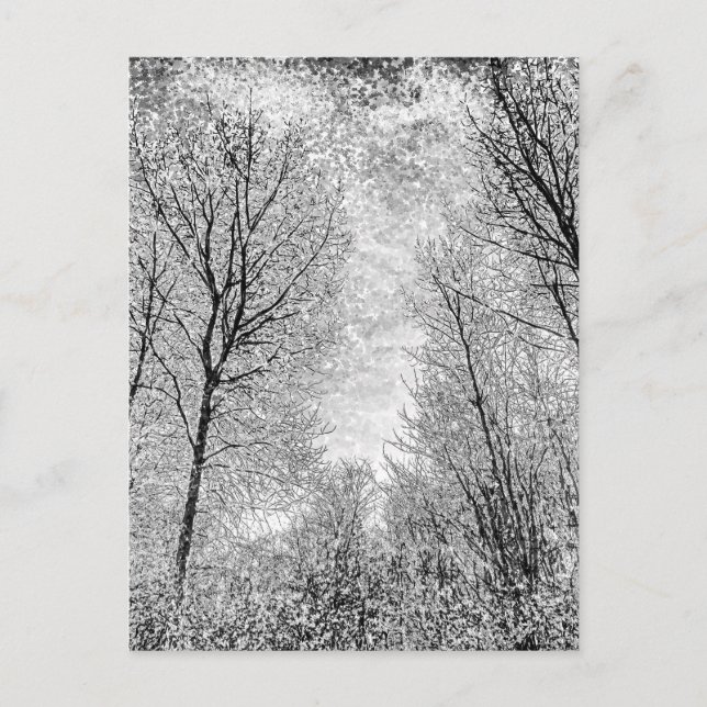Forest Snow Art Postcard (Front)