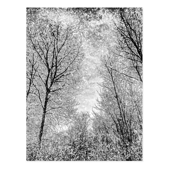 Forest Snow Art Postcard
