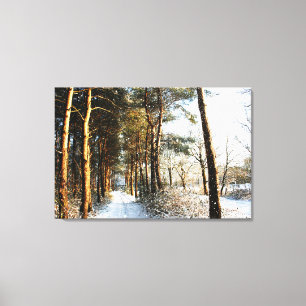 Forest Snow Scene 36x24 (90x60cm) waccn Canvas Print