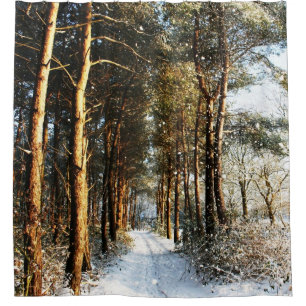 Forest Snow Scene sccn Shower Curtain