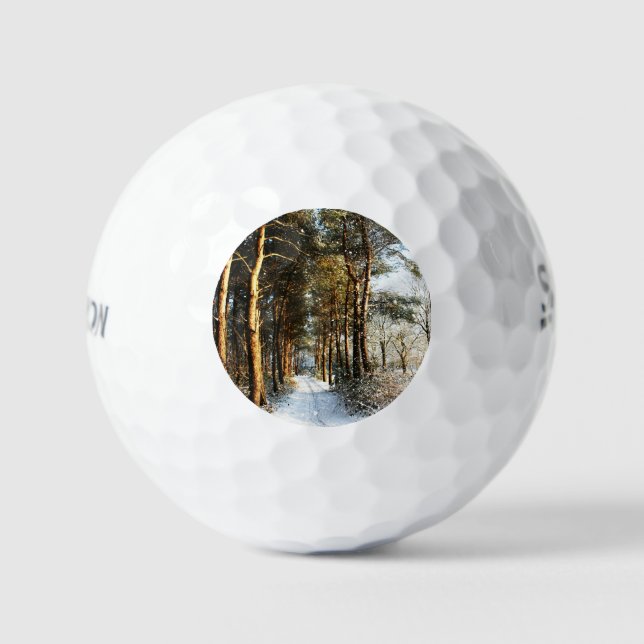 Forest Snow Scene ssf gbcna Golf Balls (Front)