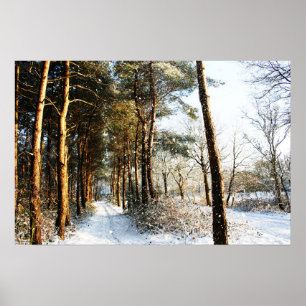 Forest Snow Scene wapcn Poster