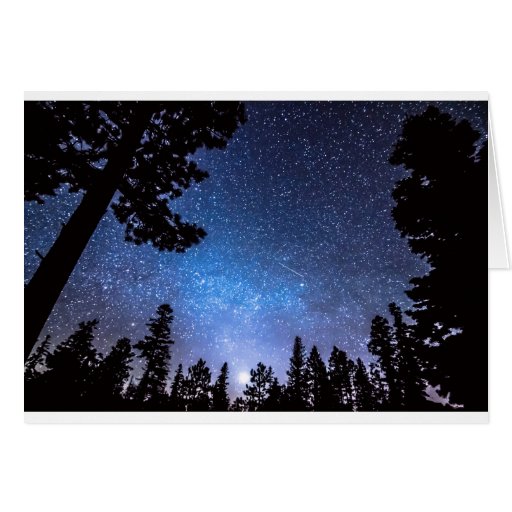 Image of Forest Star Gazing An Astronomy Delight