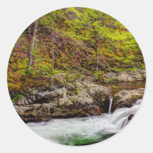 Forest Stream In Great Smoky Mountains Classic Round Sticker