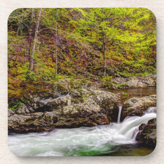 Forest Stream In Great Smoky Mountains Coaster (Front)