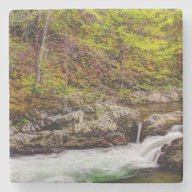 Forest Stream In Great Smoky Mountains Stone Coaster (Front)