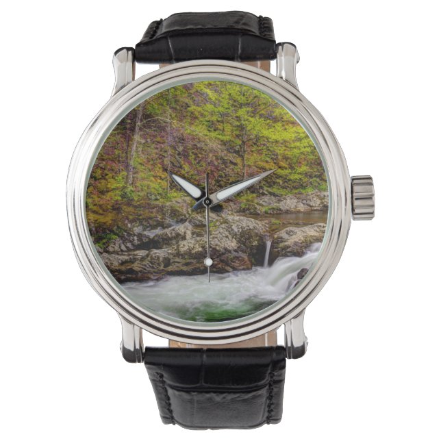 Forest Stream In Great Smoky Mountains Watch (Front)