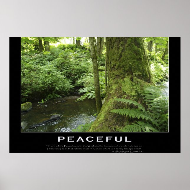 FOREST STREAM Nature Photo Poster Print (Front)