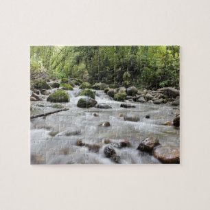 Forest Stream photo puzzle