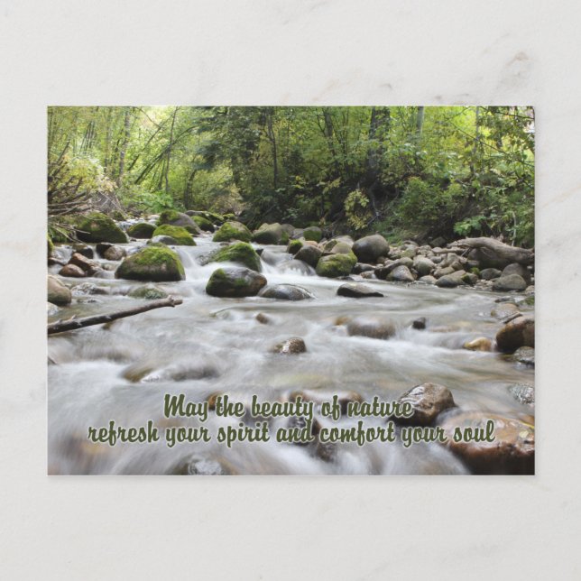 Forest Stream postcard (Front)