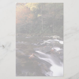 forest stream stationery