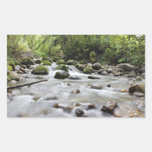 Forest Stream stickers