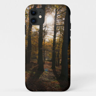 Forest sun iPhone 5 case