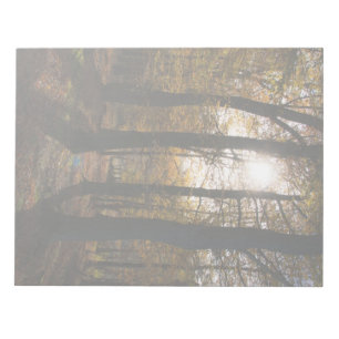 Forest sun notepad