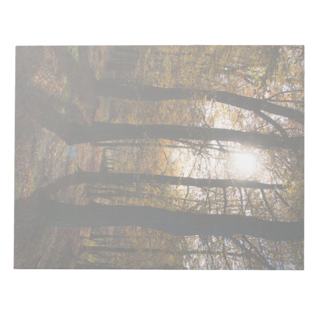 Forest sun notepad (Front)
