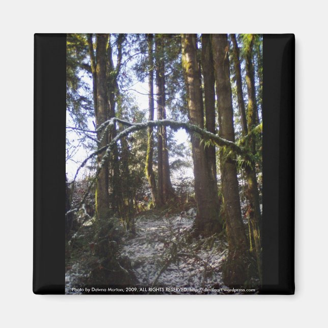 Forest Sun Rays in the Snow #32 Magnet (Front)