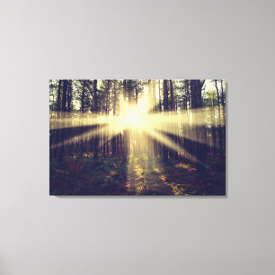 Forest Sunbeams Canvas Print