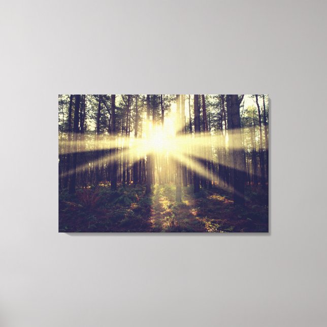 Forest Sunbeams Canvas Print (Front)