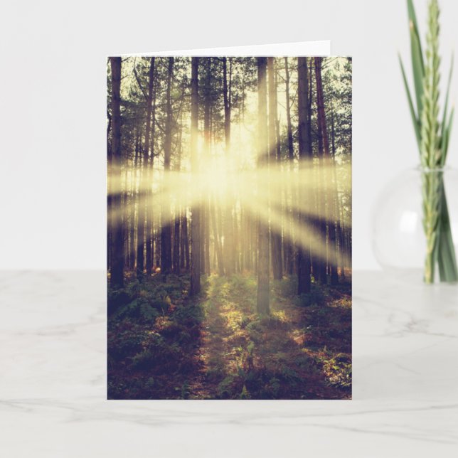 Forest Sunbeams Card (Front)